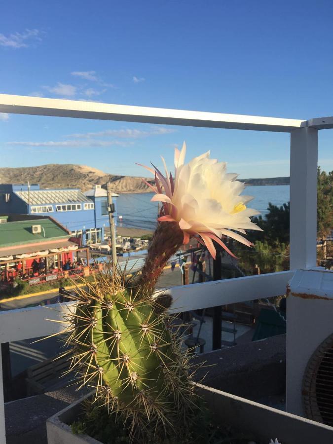 Hosteria Puerto Palos Puerto Pirámides Екстериор снимка